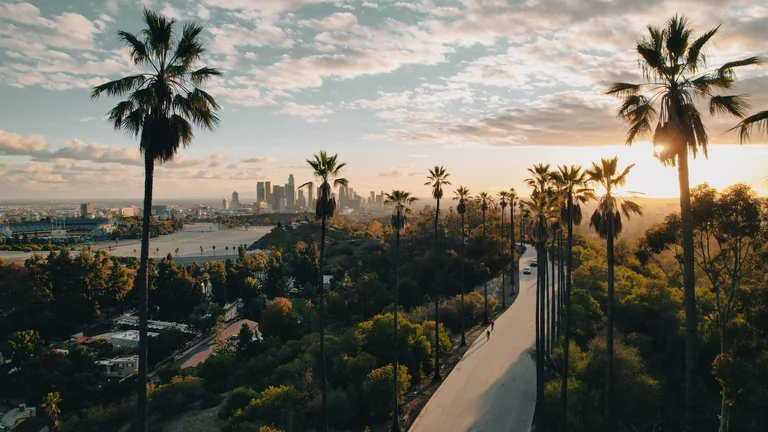 Los Angeles Gutter Cleaners