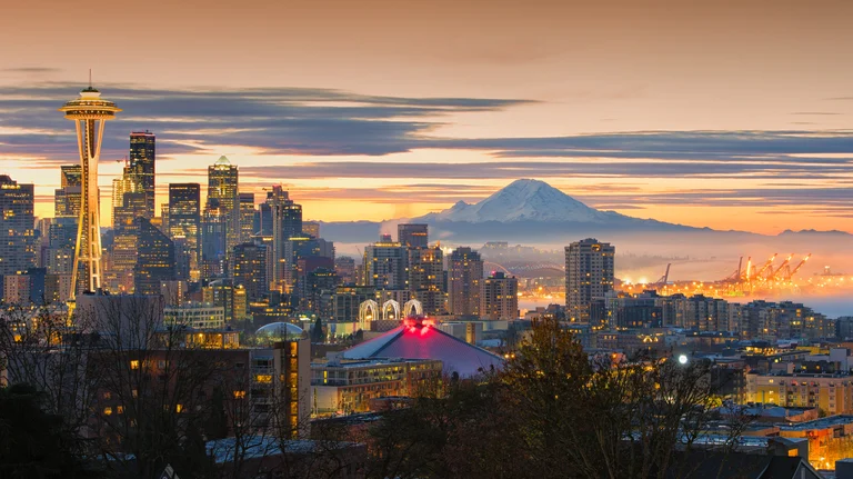 Seattle Gutter Cleaners