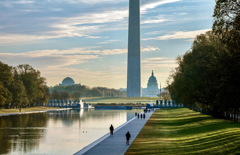 Washington Gutter Cleaners